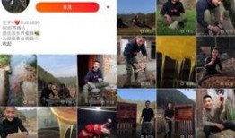 养蜂技术爆料视频下载,视频爆料带你走进蜜蜂王国